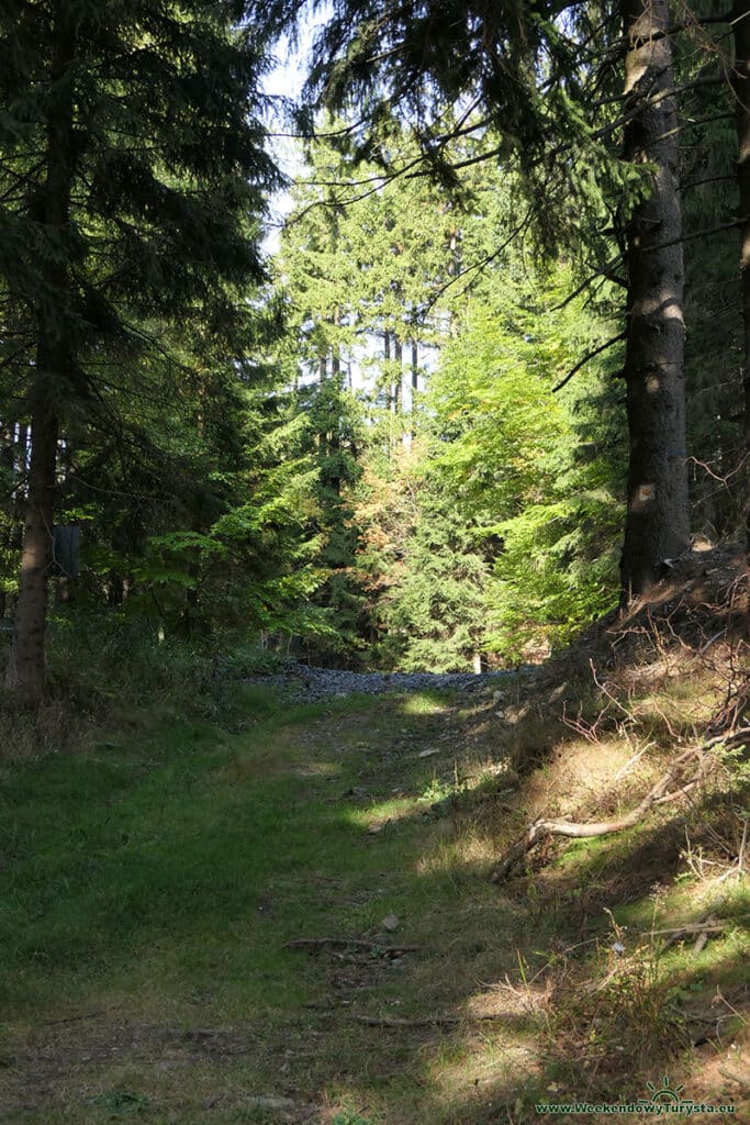 Szlak w kierunku Przełęczy Okraj - Karkonosze