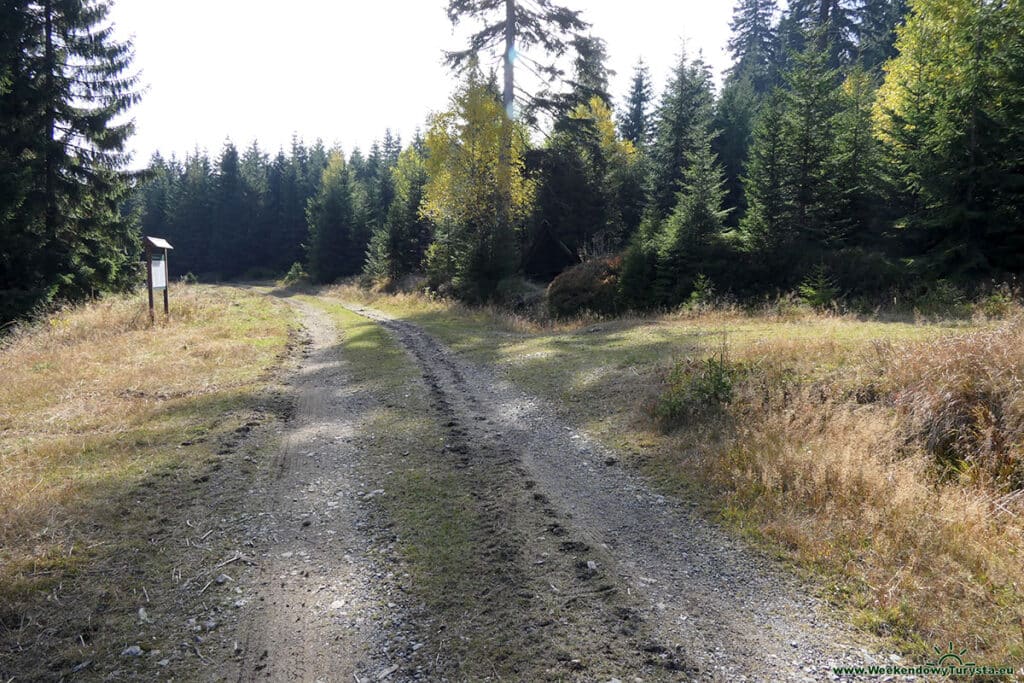 Rozdroże pod Łysociną