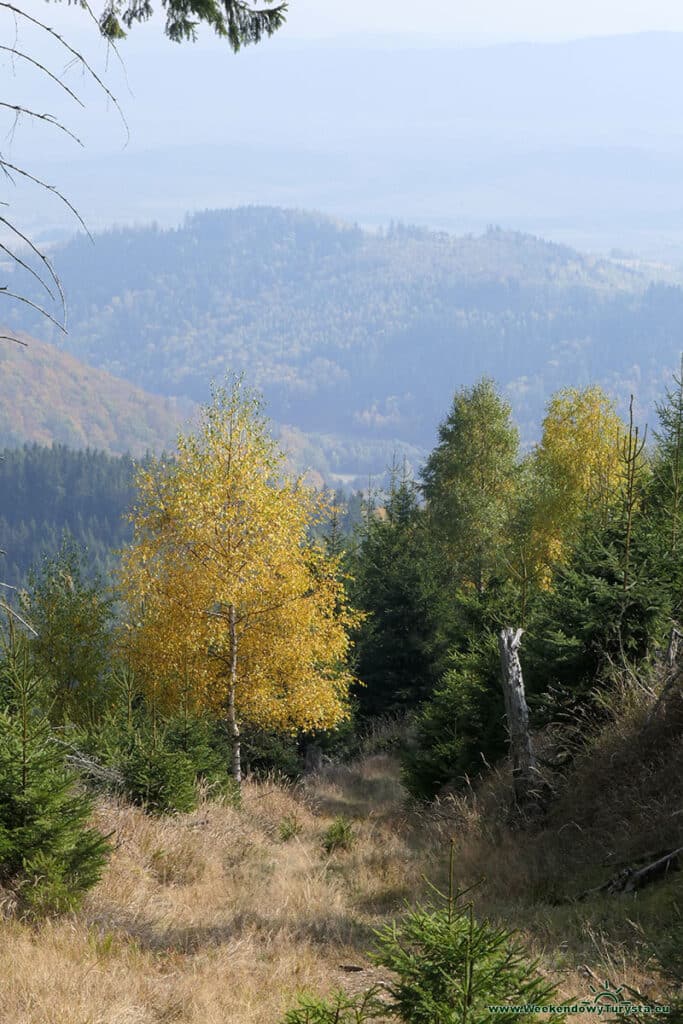 Niebieski szlak Karkonosze