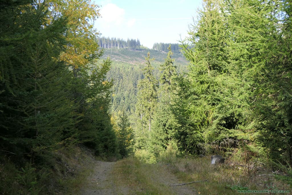 Niebieski szlak w Karkonoszach w kierunku Jarkowic