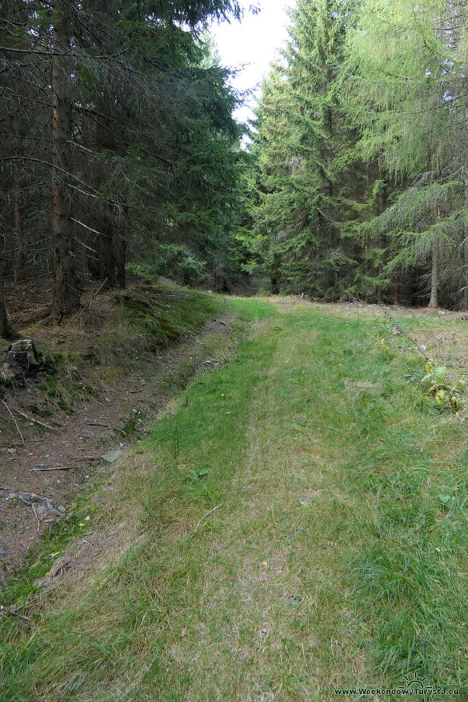 Niebieski szlak w Karkonoszach w kierunku Jarkowic