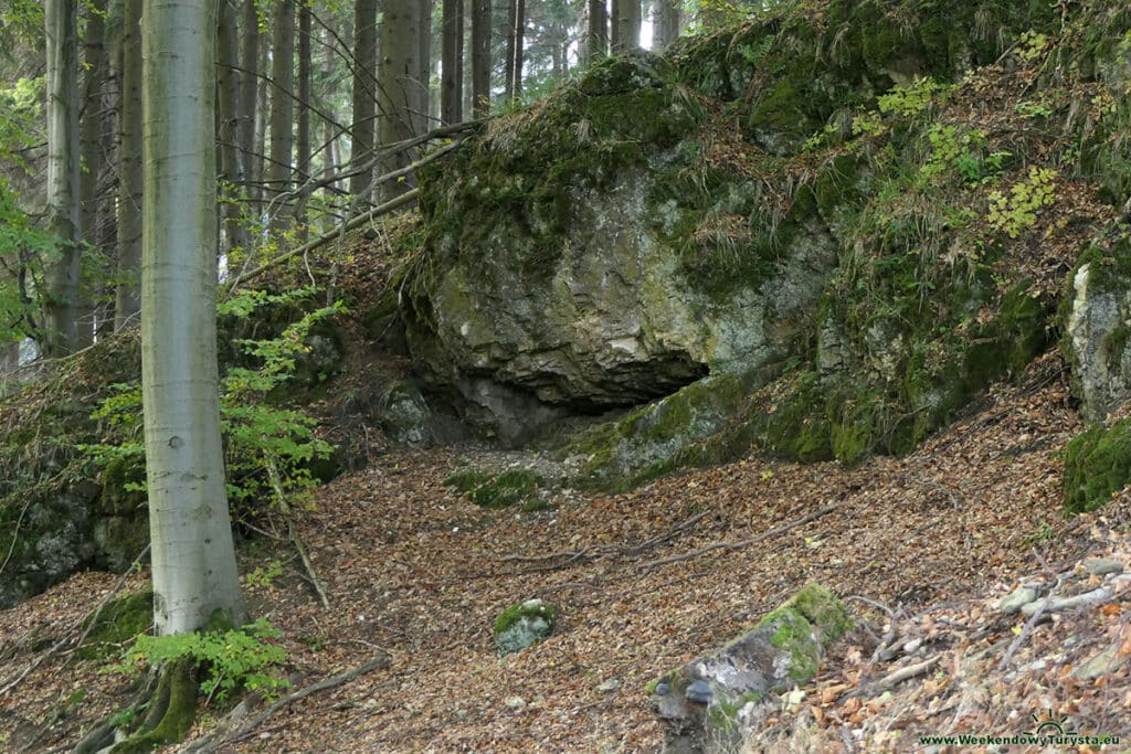 Niebieski szlak w Karkonoszach w kierunku Jarkowic