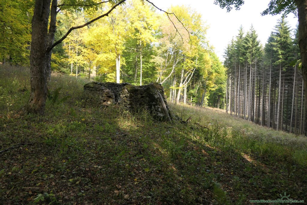 Niebieski szlak w Karkonoszach w kierunku Jarkowic