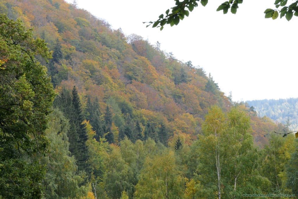 Niebieski szlak w Karkonoszach w kierunku Jarkowic