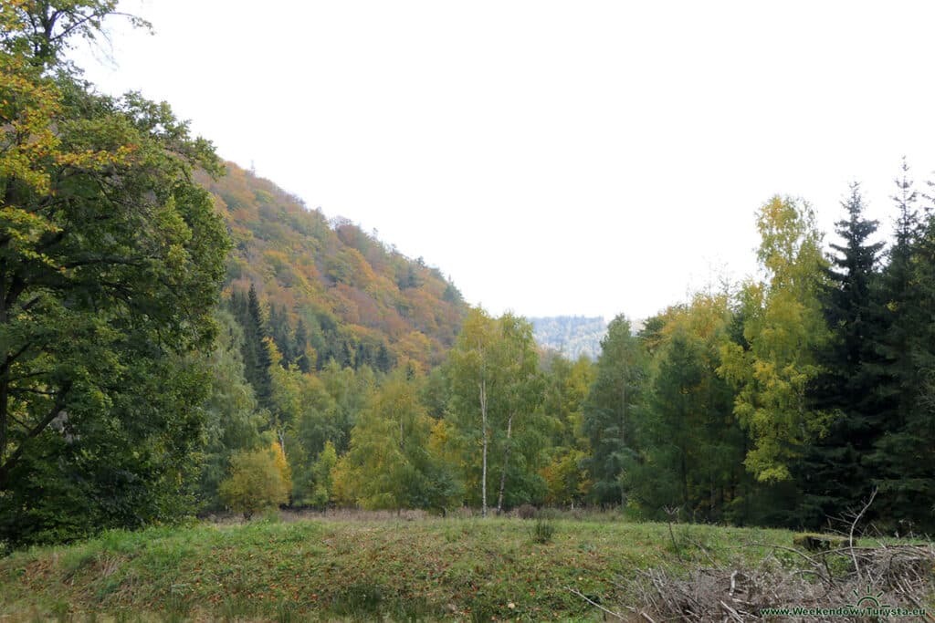 Niebieski szlak w Karkonoszach w kierunku Jarkowic