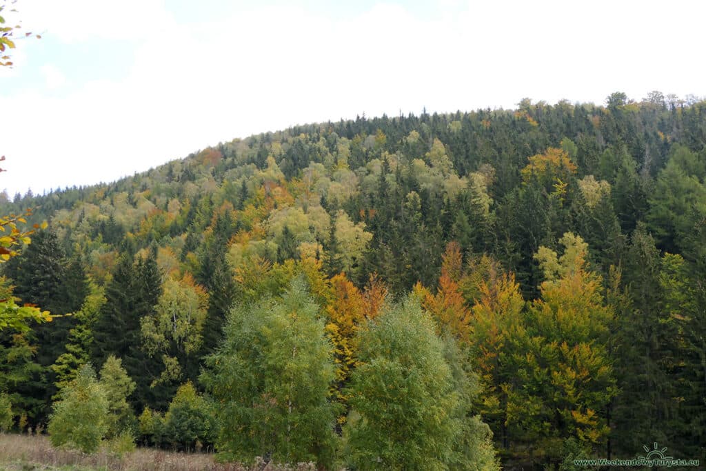 Niebieski szlak w Karkonoszach w kierunku Jarkowic