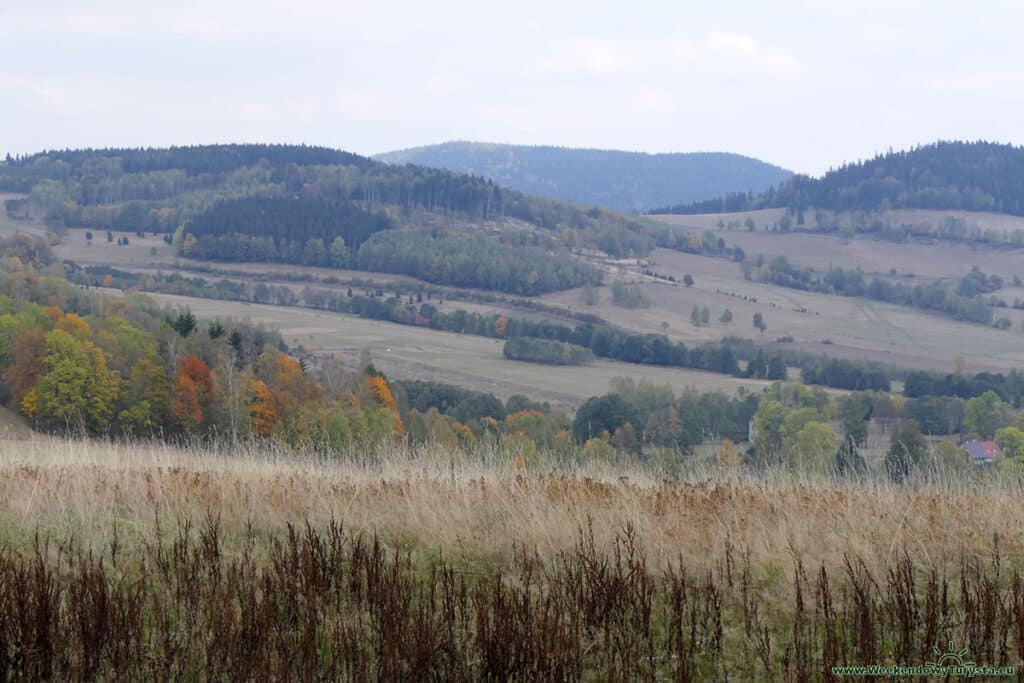 Czerwony szlak w Karkonoszach w kierunku Rozdroża Kowarskiego