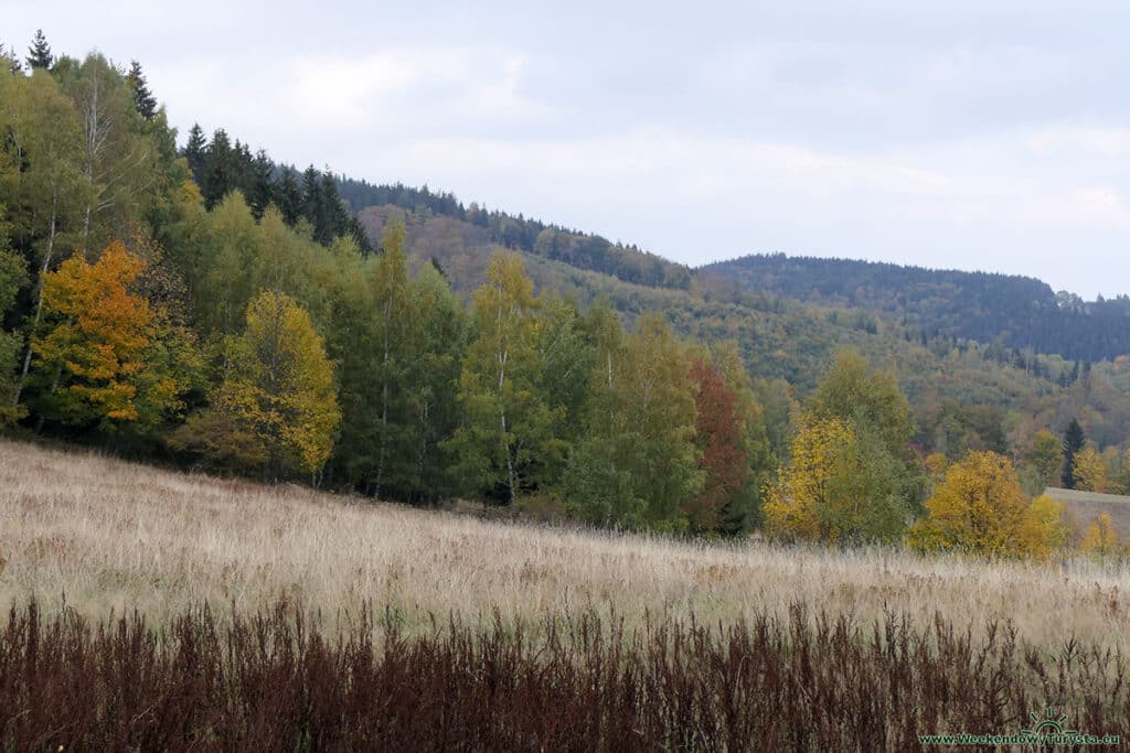 Czerwony szlak w Karkonoszach w kierunku Rozdroża Kowarskiego