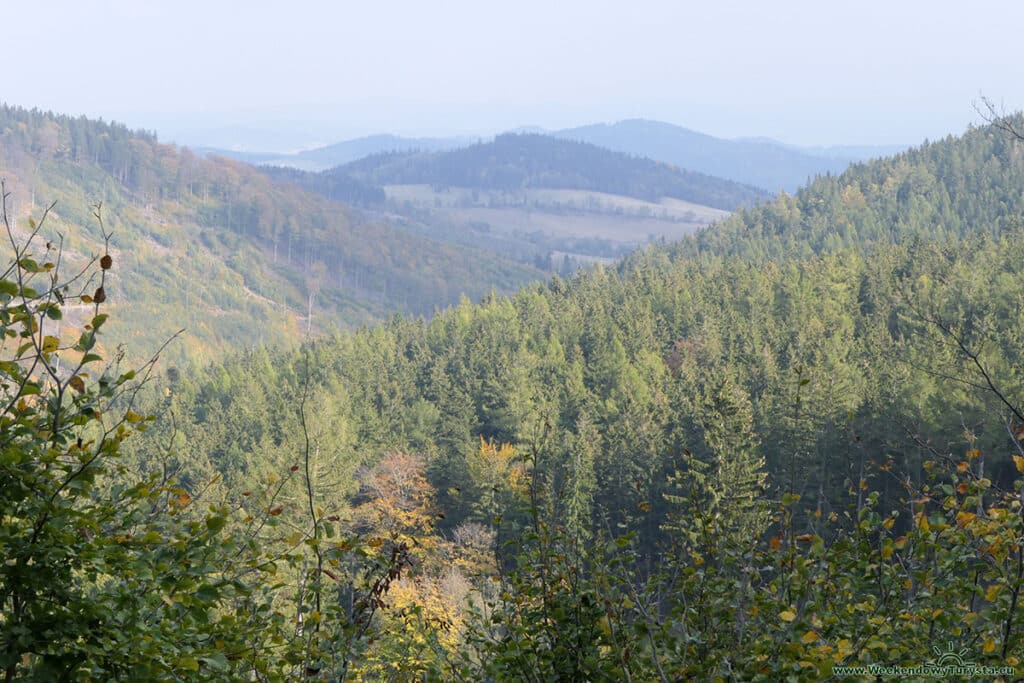 Czerwony szlak w Karkonoszach w kierunku Rozdroża Kowarskiego