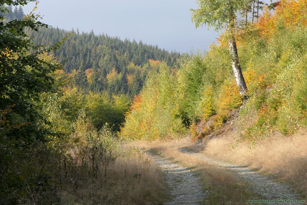 Czerwony szlak w Karkonoszach w kierunku Rozdroża Kowarskiego