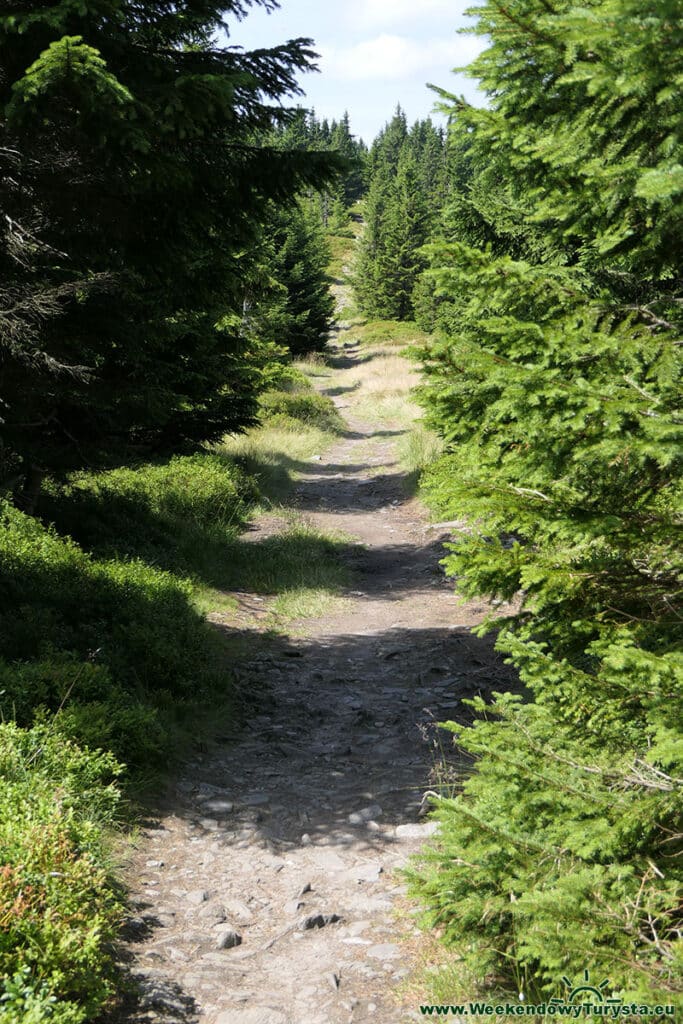 Szlak do Skalnego Stołu