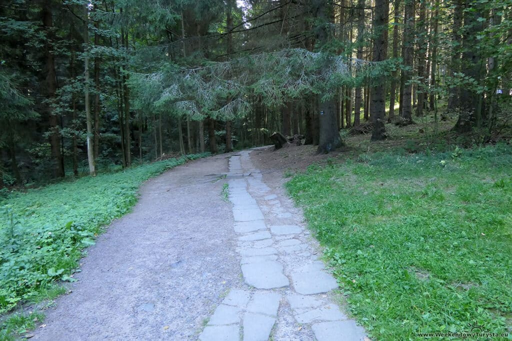 Ścieżka do Teplickich Skał - Skalne MIasto