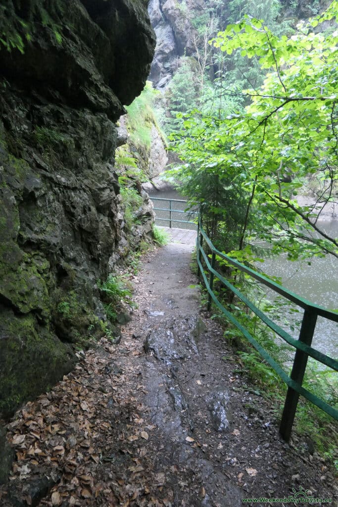 Szlak Riegra -pomost nad Izerą