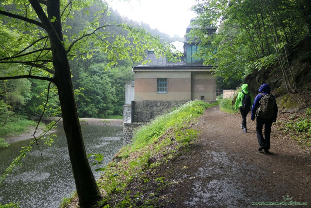 Szlak Riegra -ścieżka w lesie nad Izerą