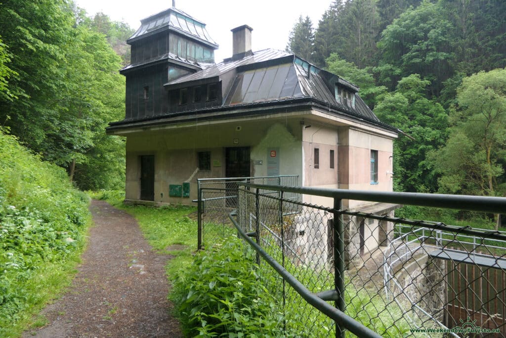 Szlak Riegra -ścieżka w lesie nad Izerą