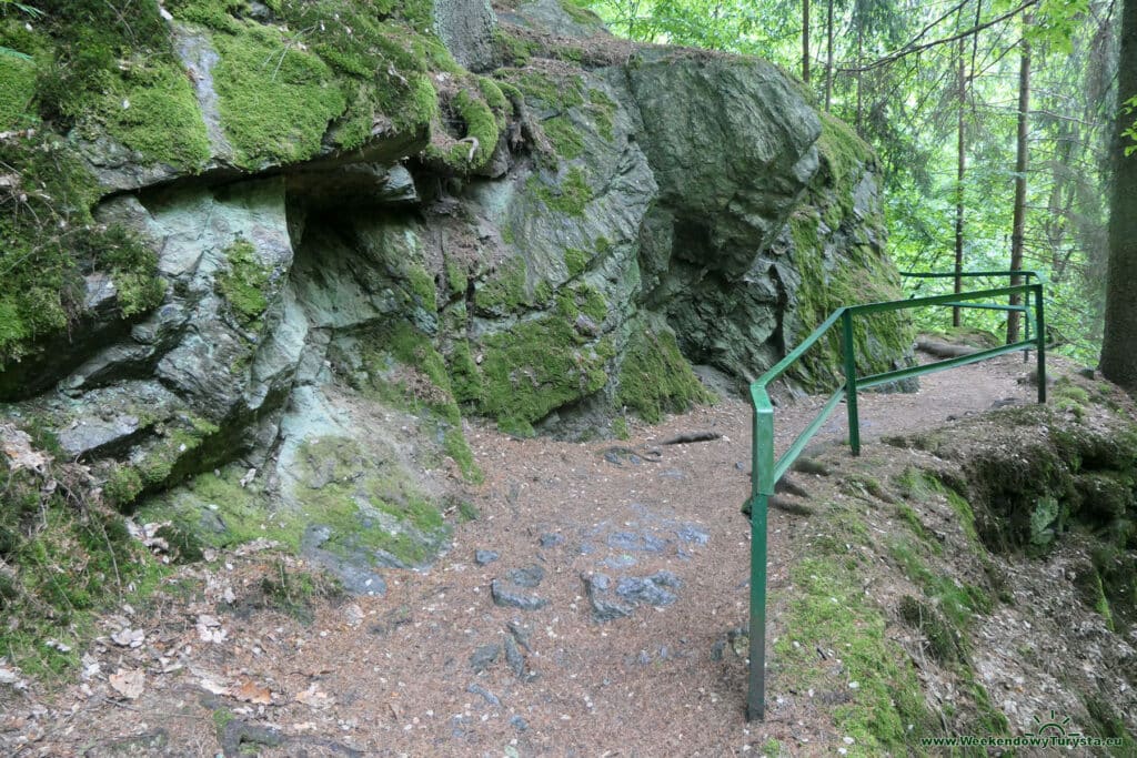 Szlak Riegra - czerwony szlak w lesie nad Izerą