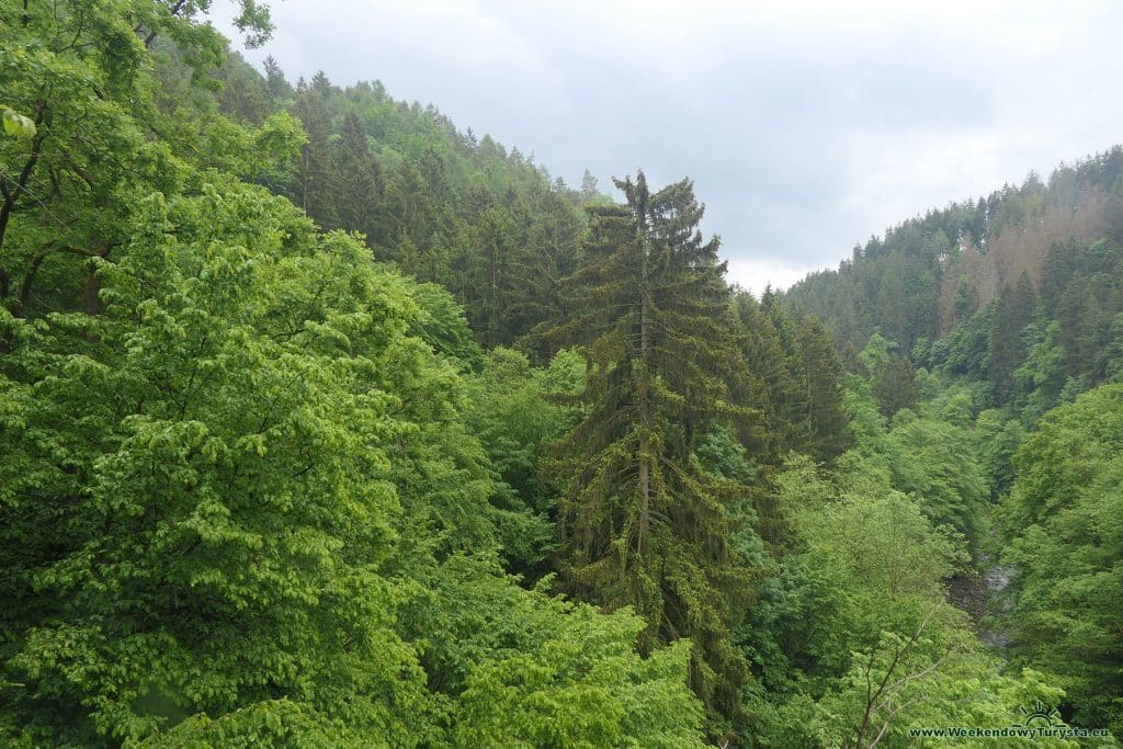 Widok na Dolinę Izery - Riegrova Ścieżka