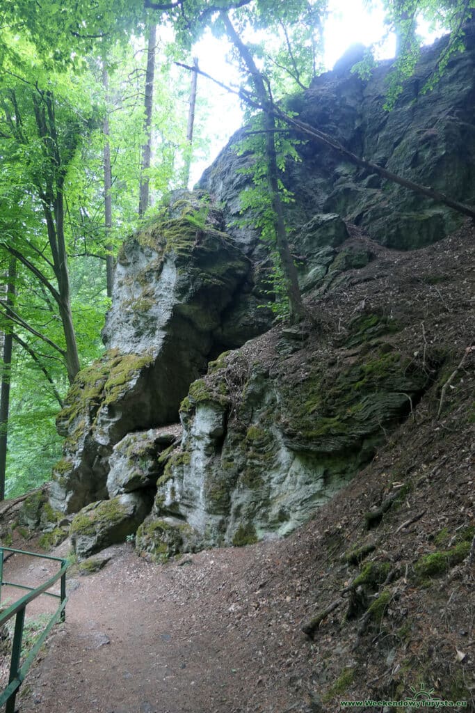 Szlak Riegra - czerwony szlak brzegiem Izery