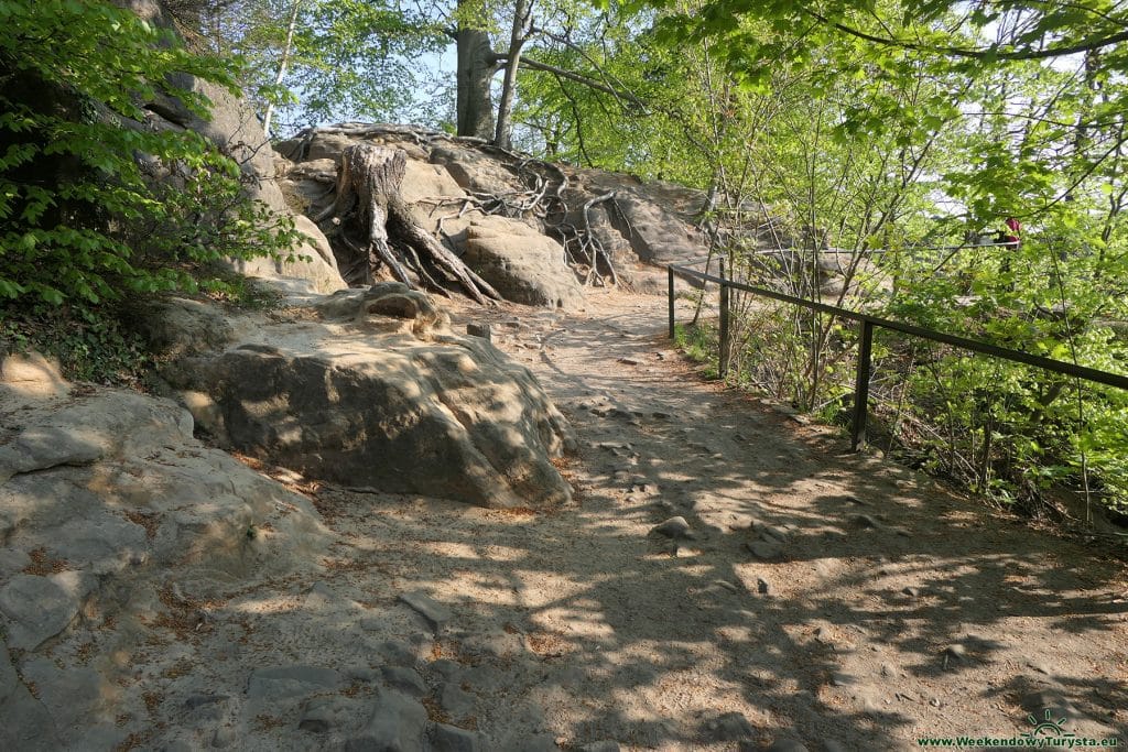 Bastei – Szwajcaria Saksońska - punkt widokowy