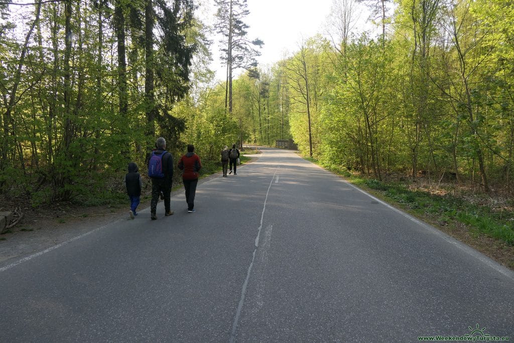 Bastei – Szwajcaria Saksońska - szlak do atrakcji