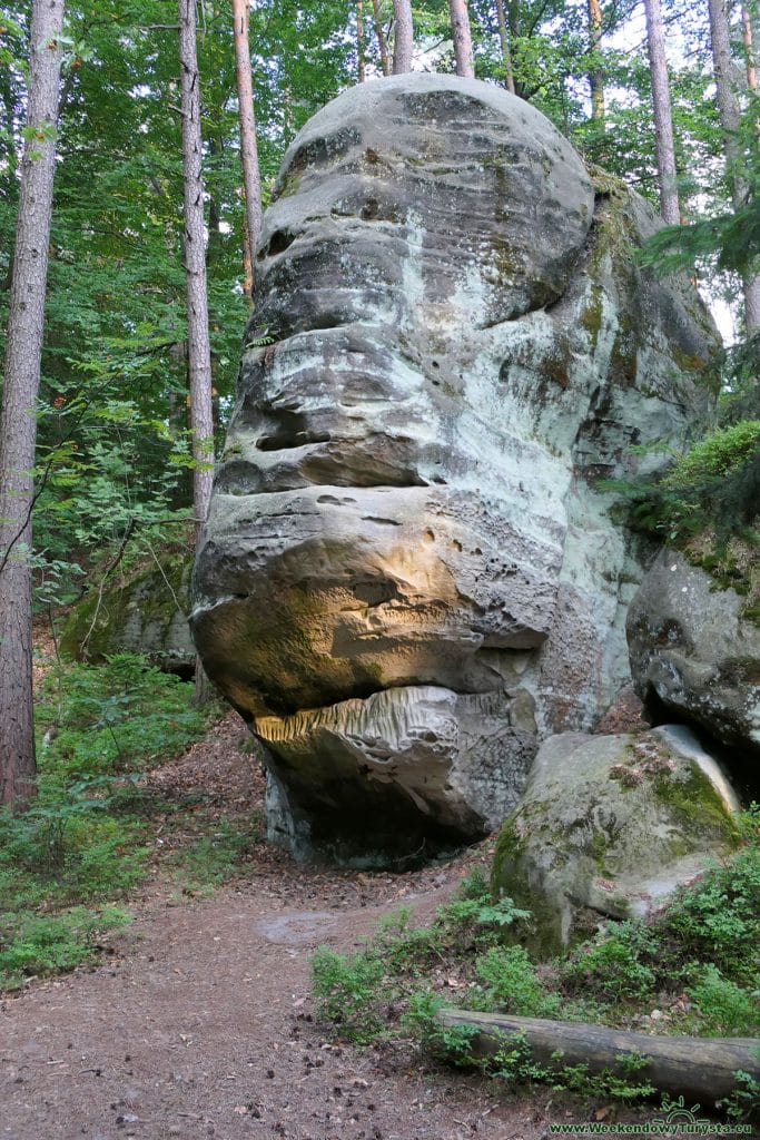 Szlaki po skalnym mieście Besedickie Skały