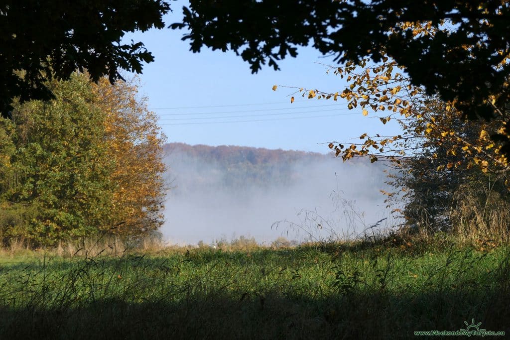 Kudowa Zdrój - szlak do Kaplicy Czaszek