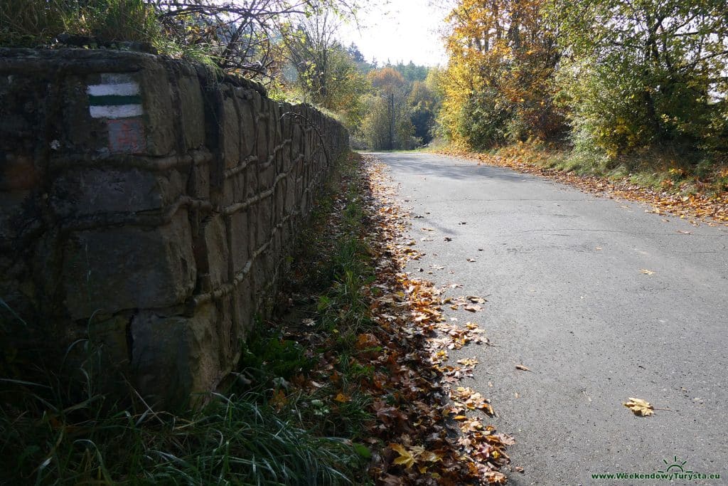 Kudowa Zdrój - szlak do miasta