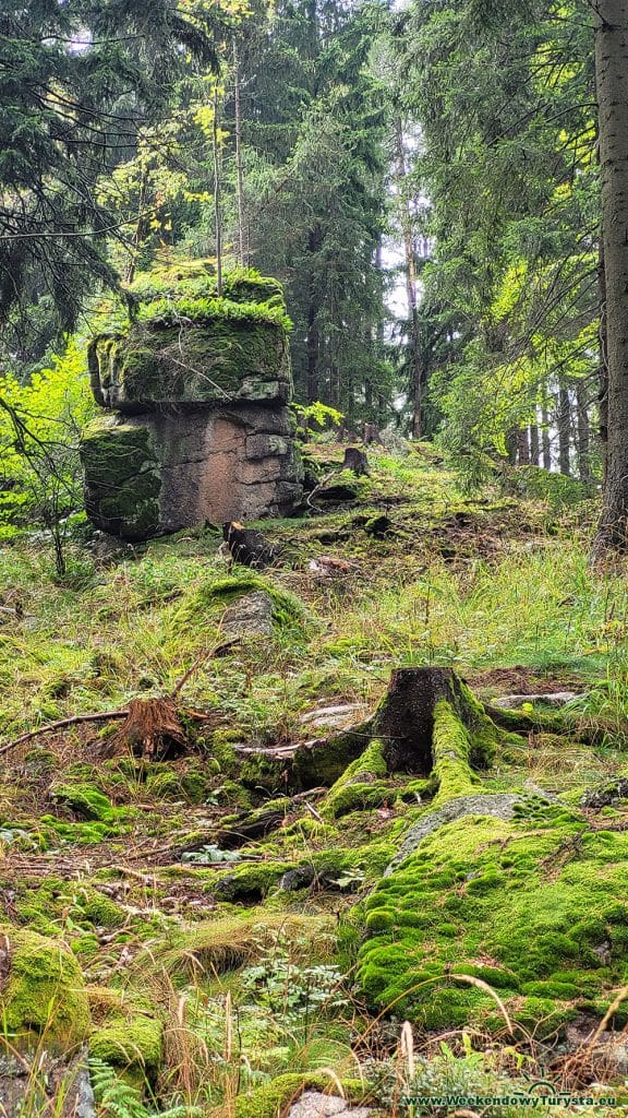 Główny Szlak Sudecki na Grzybowcu