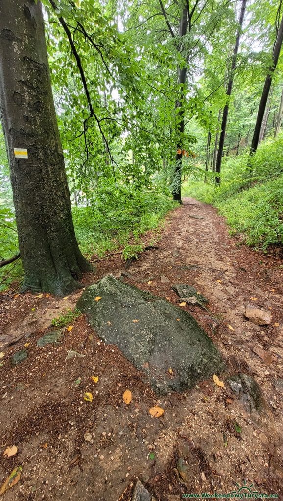 Źółty szlak do Kaplicy Świętej Anny