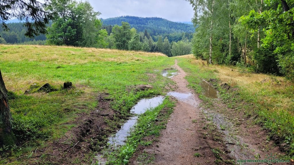 Główny Szlak Sudecki na Grzybowcu