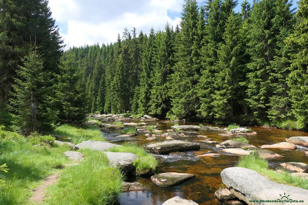 Szlaki w Górach Izerskich - szlak do Chatki Górzystów