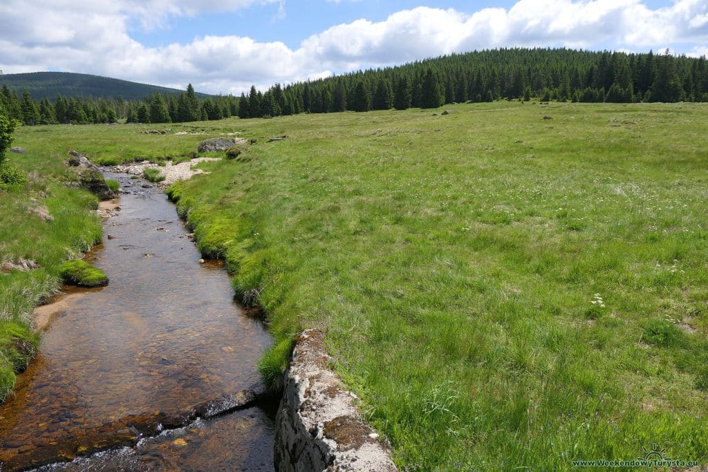 Szlaki w Górach Izerskich - szlak do Chatki Górzystów