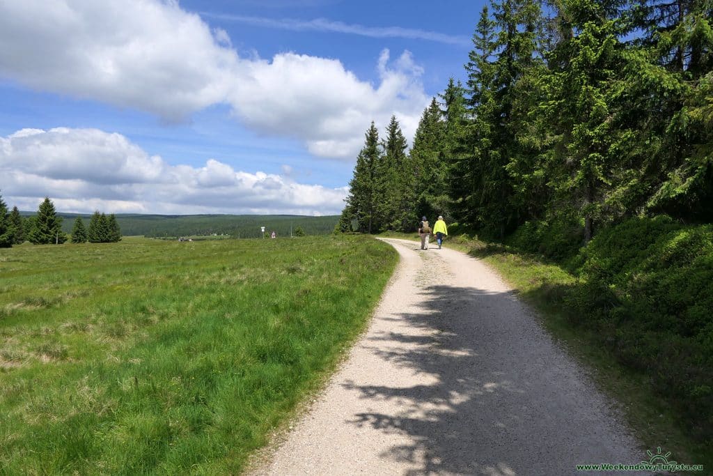 Szlaki w Górach Izerskich - szlak do Chatki Górzystów