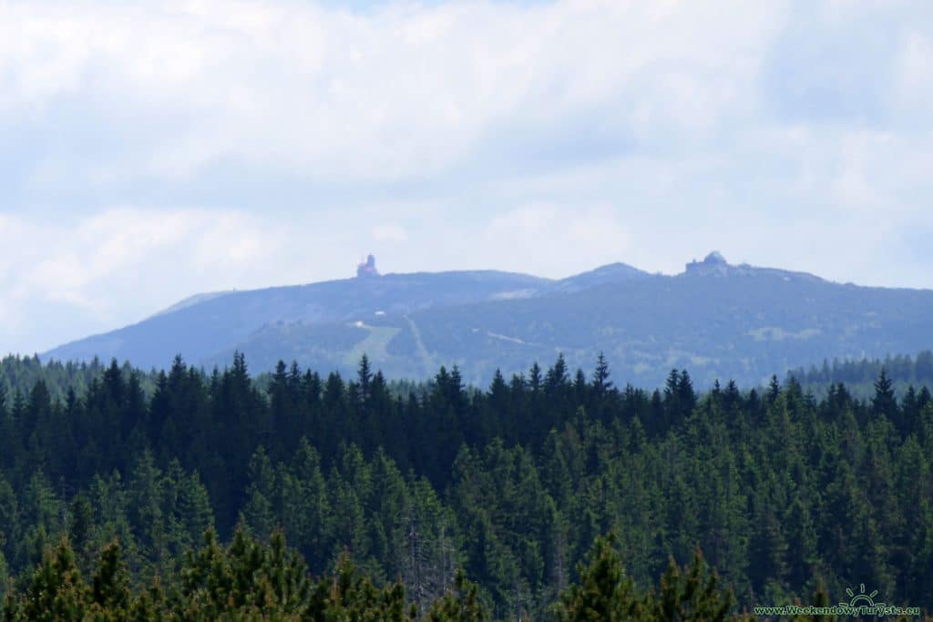 Szlaki w Górach Izerskich - szlak do Chatki Górzystów - widok na Karkonosze