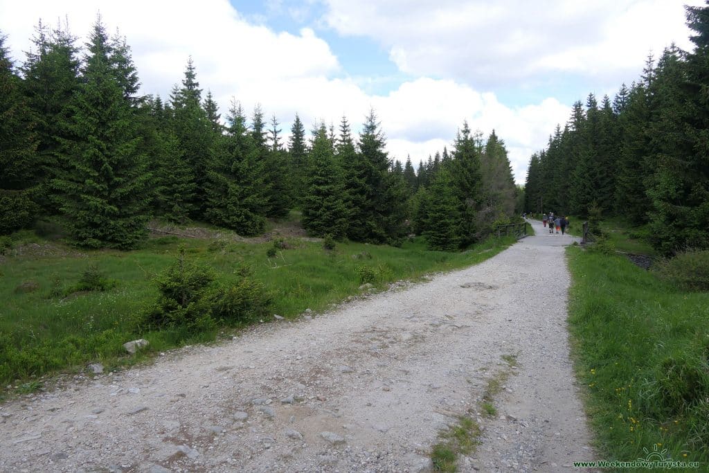 Szlaki w Górach Izerskich - szlak do Chatki Górzystów