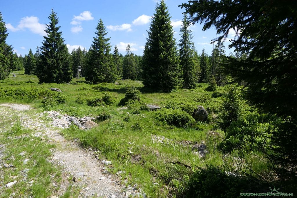 Szlaki w Górach Izerskich - Jelenia Łąka