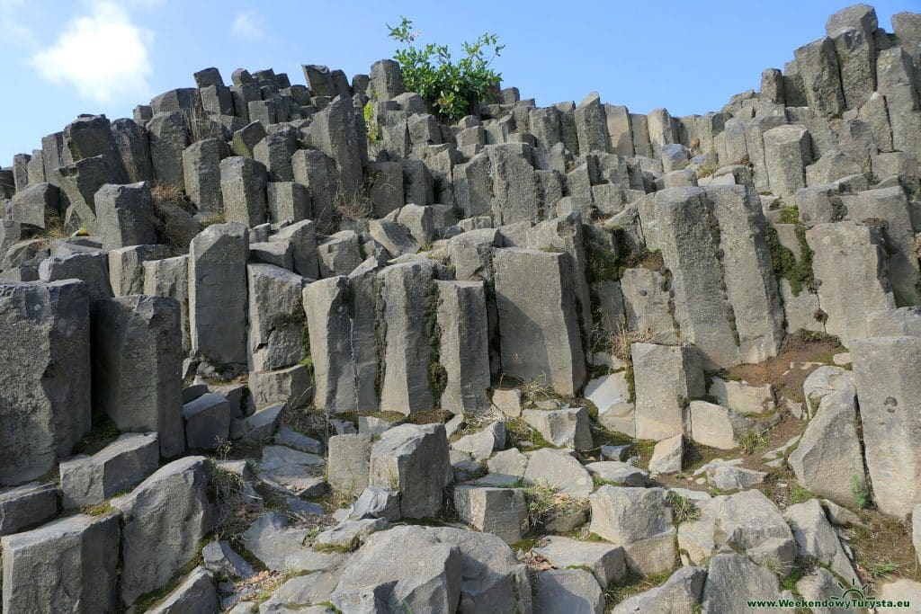 Pańska Skała - rezerwat przyrody