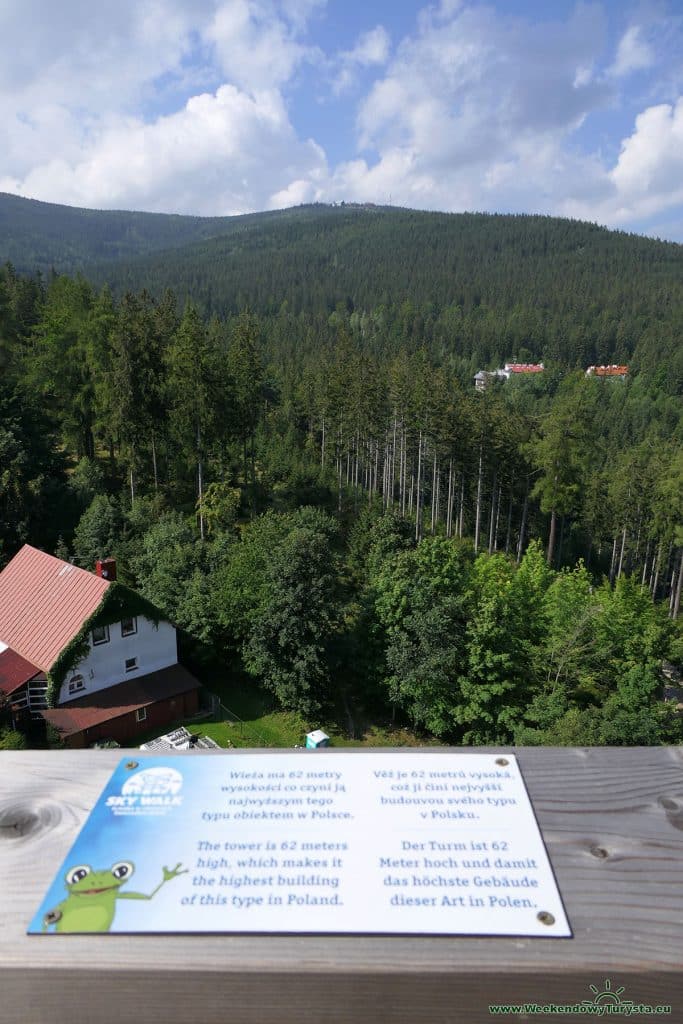 Wieża widokowa Sky Walk w Świeradowie Zdroju - widok na Stóg Izerski