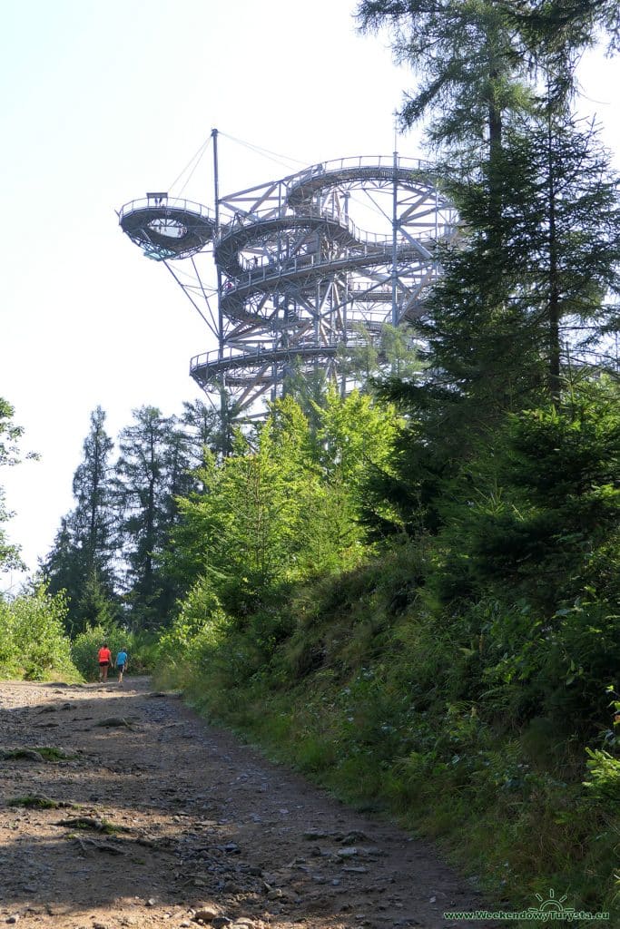 Wieża widokowa Sky Walk w Świeradowie Zdroju - droga dojściowa