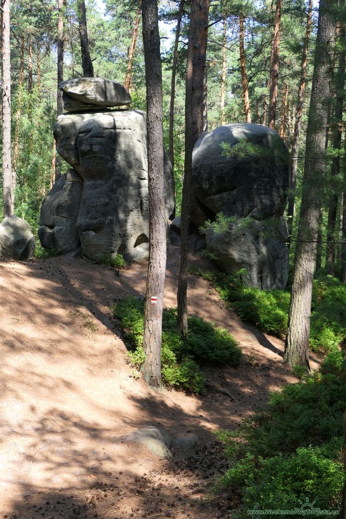 Maloskalska Drabovna - szlak w lesie