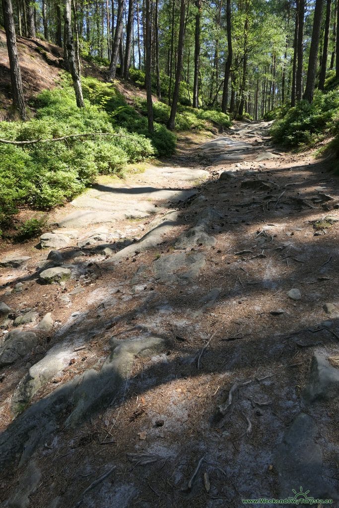 Maloskalska Drabovna - czerwony szlak