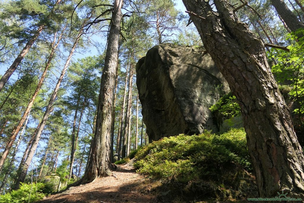 Maloskalska Drabovna - czerwony szlak