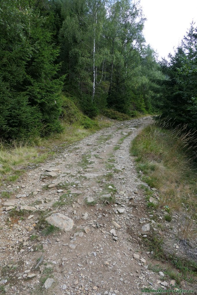 Czerwony szlak na Kozie Grzbiety w Karkonoszach