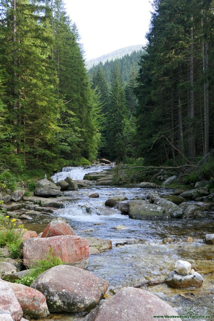 Niebieski szlak do Spindlerovego Młyna - dolina Białej Łaby