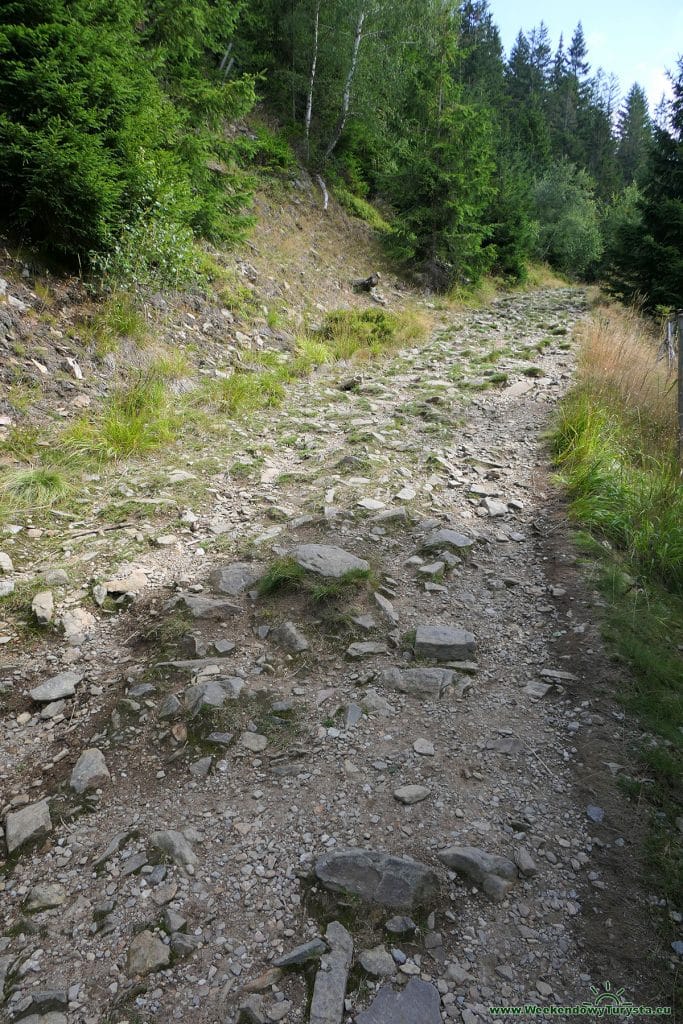 Czerwony szlak na Kozie Grzbiety w Karkonoszach