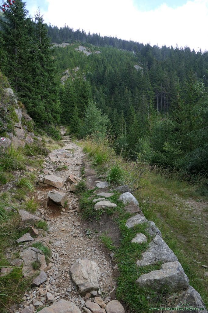 Czerwony szlak na Kozie Grzbiety w Karkonoszach