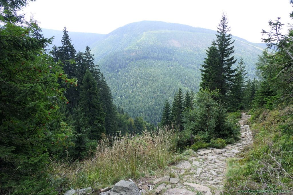 Czerwony szlak na Kozie Grzbiety w Karkonoszach