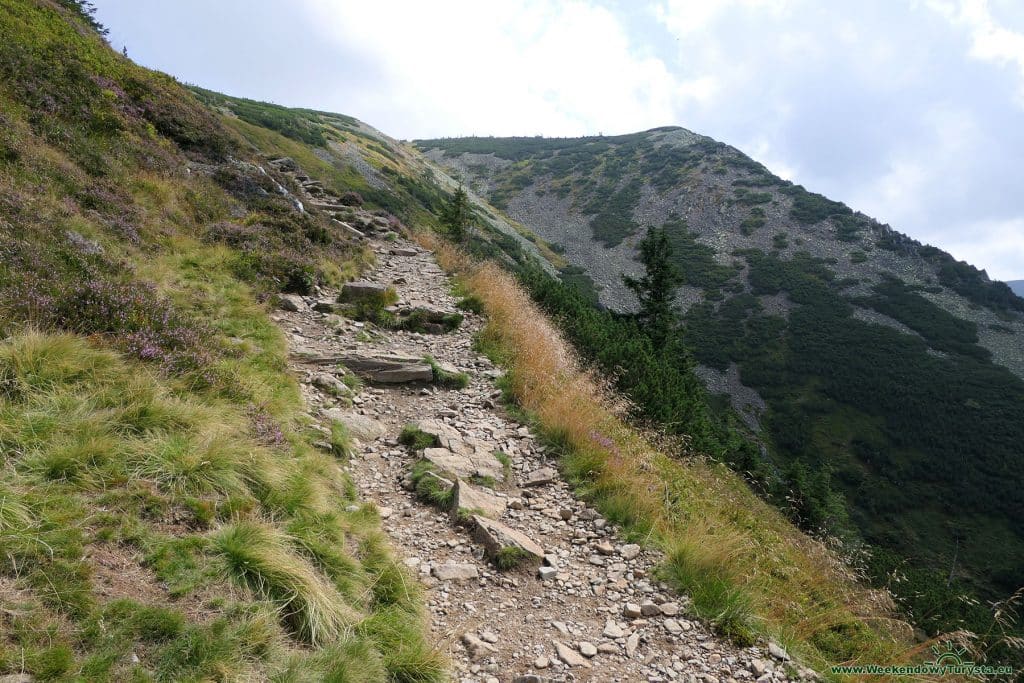 Czerwony szlak na Kozie Grzbiety w Karkonoszach