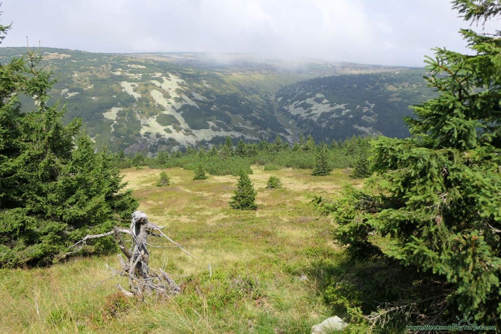 Szlak do schroniska Lucni Bouda