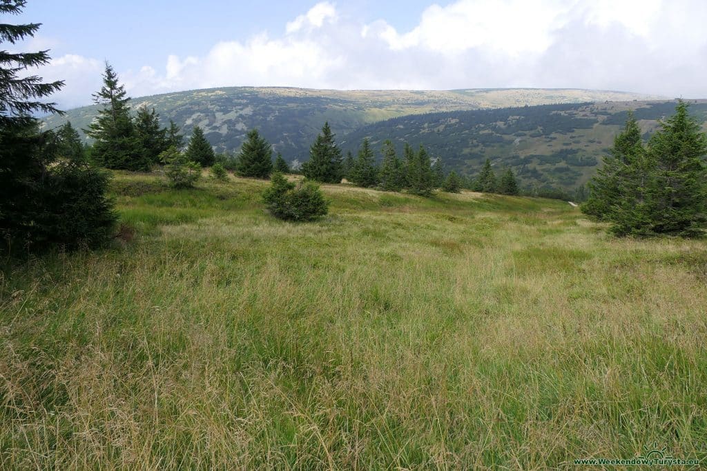 Szlak do schroniska Lucni Bouda